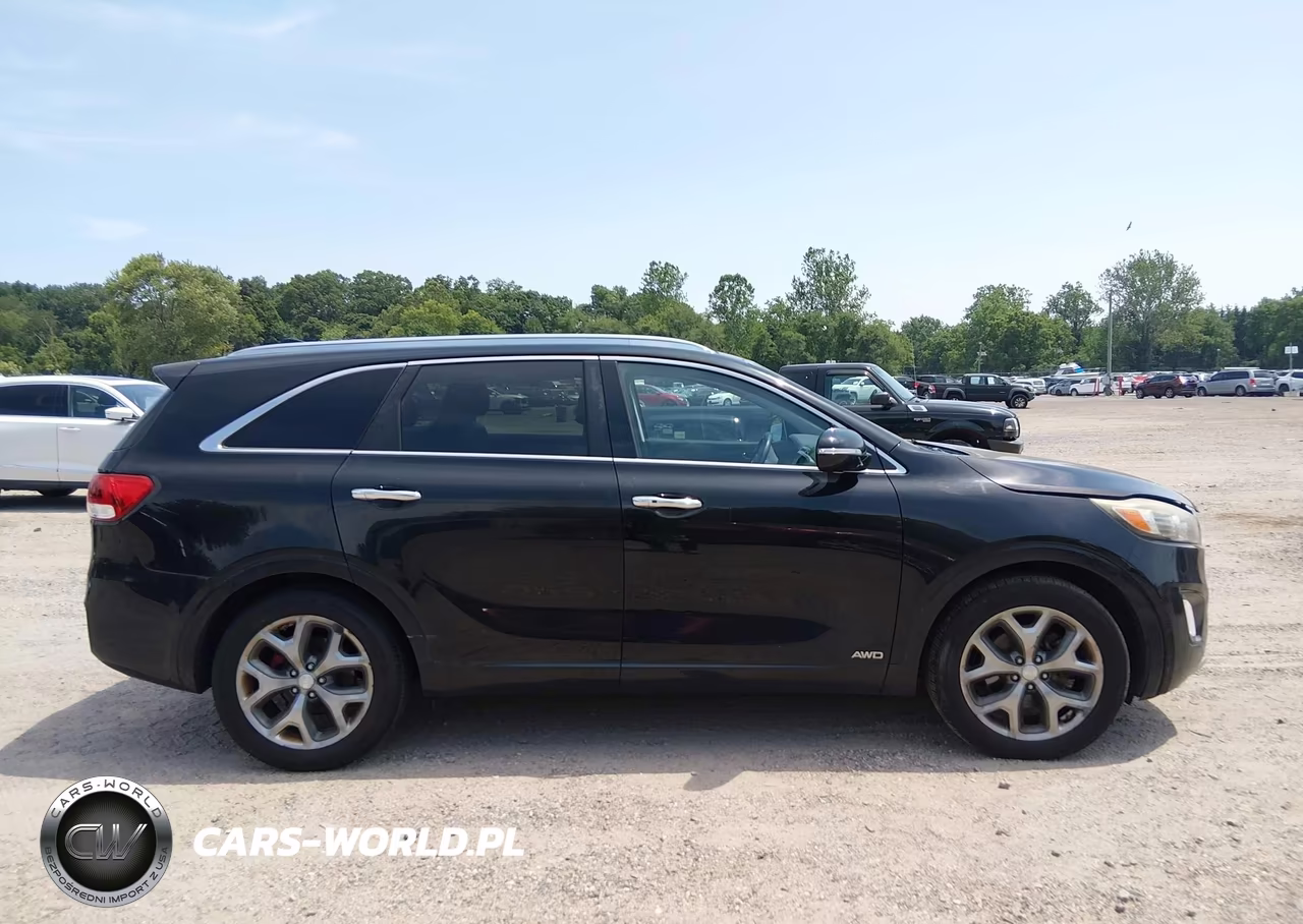 2017 Kia Sorento 3.3L Sx VIN:5XYPKDA53HG319666 - 13