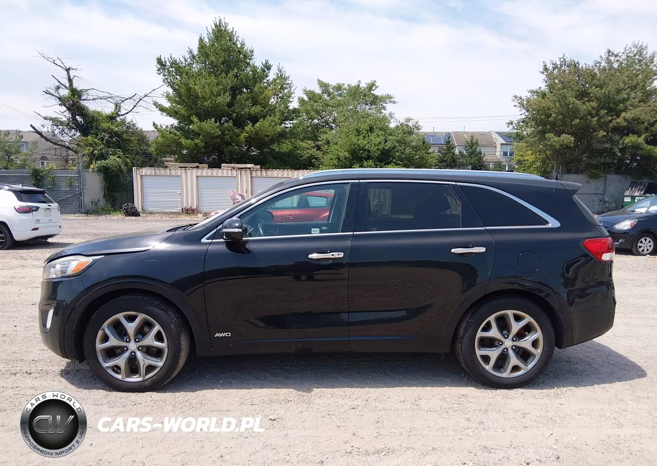 2017 Kia Sorento 3.3L Sx VIN:5XYPKDA53HG319666 - 14