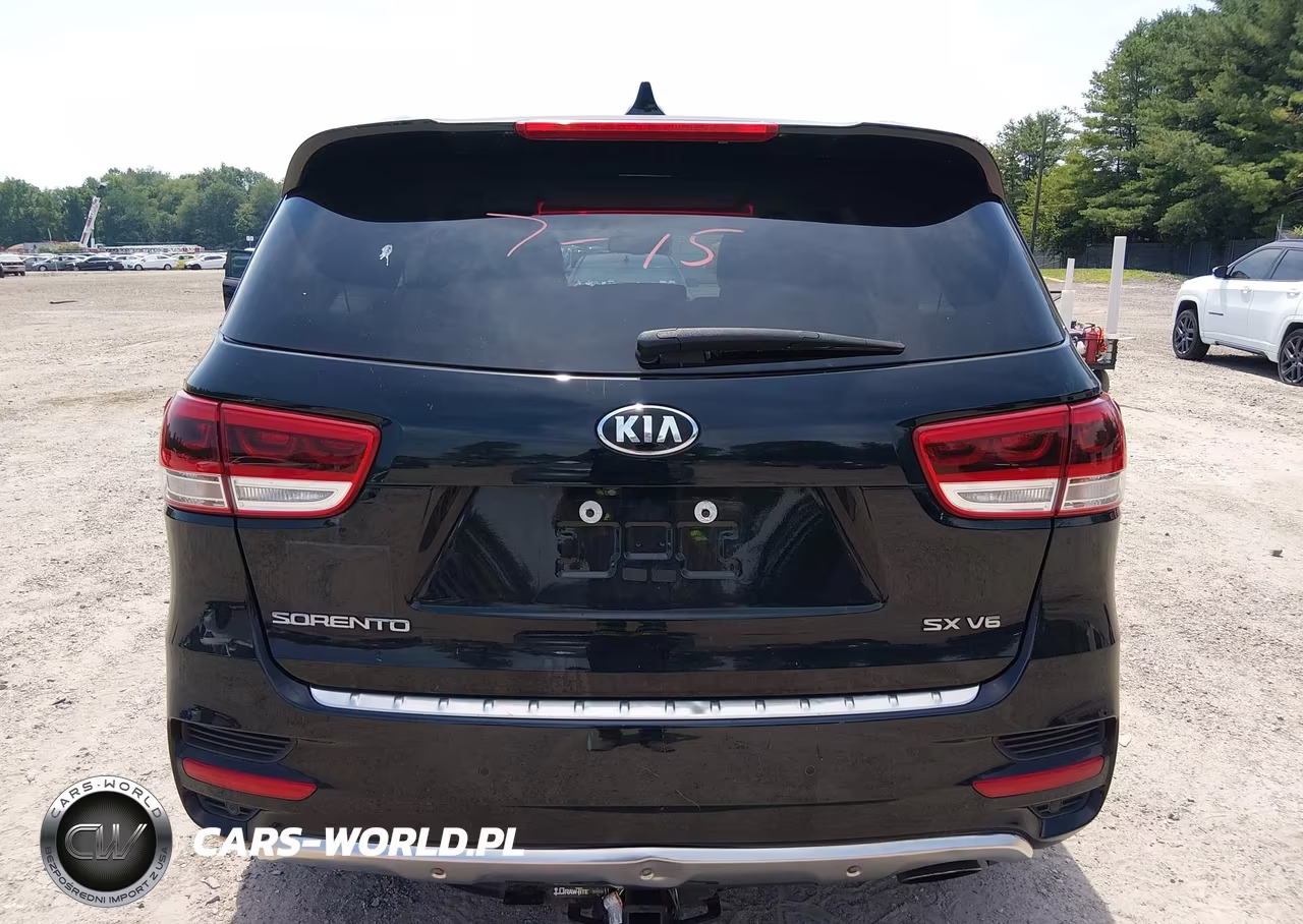 2017 Kia Sorento 3.3L Sx VIN:5XYPKDA53HG319666 - 16