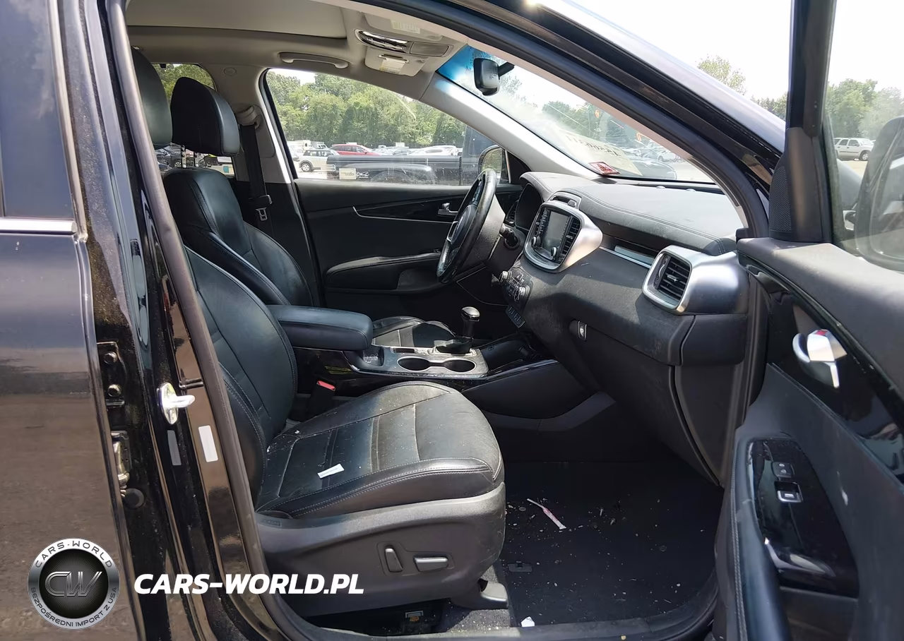 2017 Kia Sorento 3.3L Sx VIN:5XYPKDA53HG319666 - 5