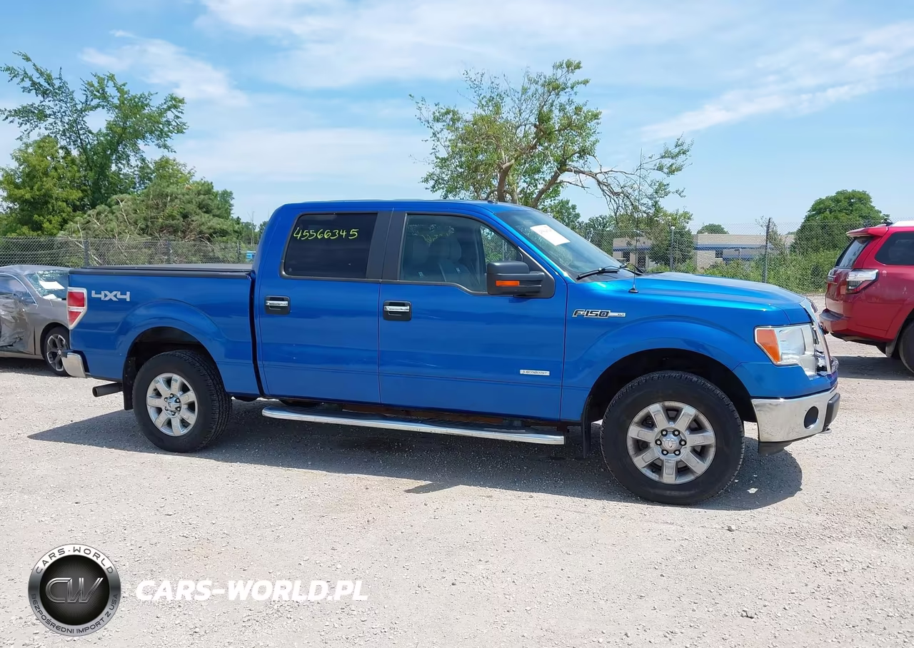 2013 Ford F-150 Fx4-King Ranch-Lariat-Limited-Platinum-Xl-Xlt VIN:1FTFW1ET7DFC70010 - 13
