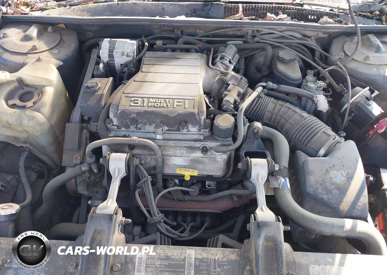 1994 Chevrolet Lumina Euro VIN:2G1WN54T5R9162604 - 10