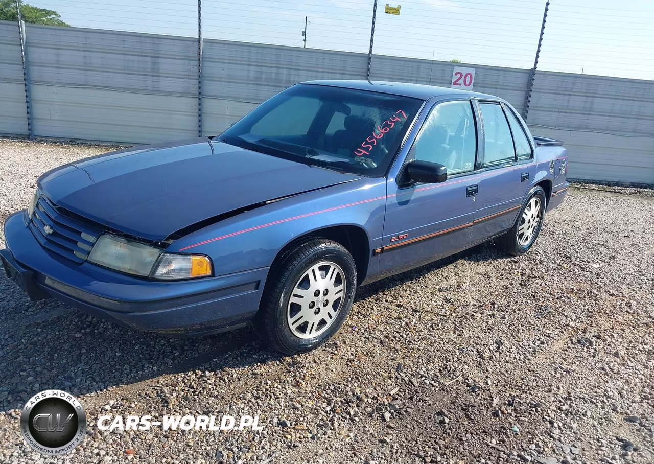 1994 Chevrolet Lumina Euro VIN:2G1WN54T5R9162604 - 2
