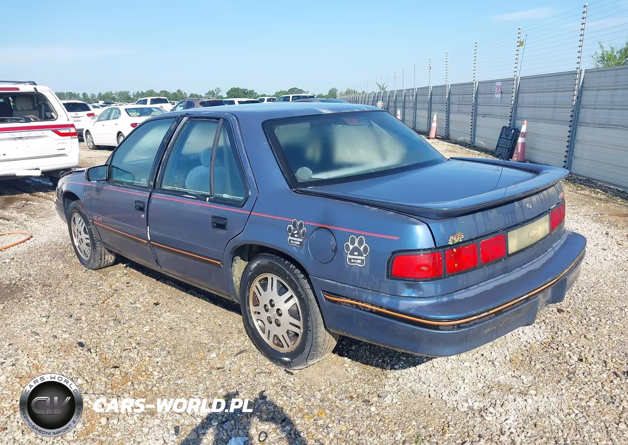 1994 Chevrolet Lumina Euro VIN:2G1WN54T5R9162604 - 3