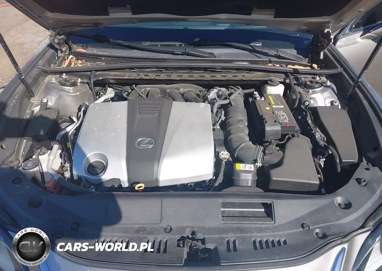 2021 Lexus Es 350 VIN:58ADZ1B11MU086389 - 10