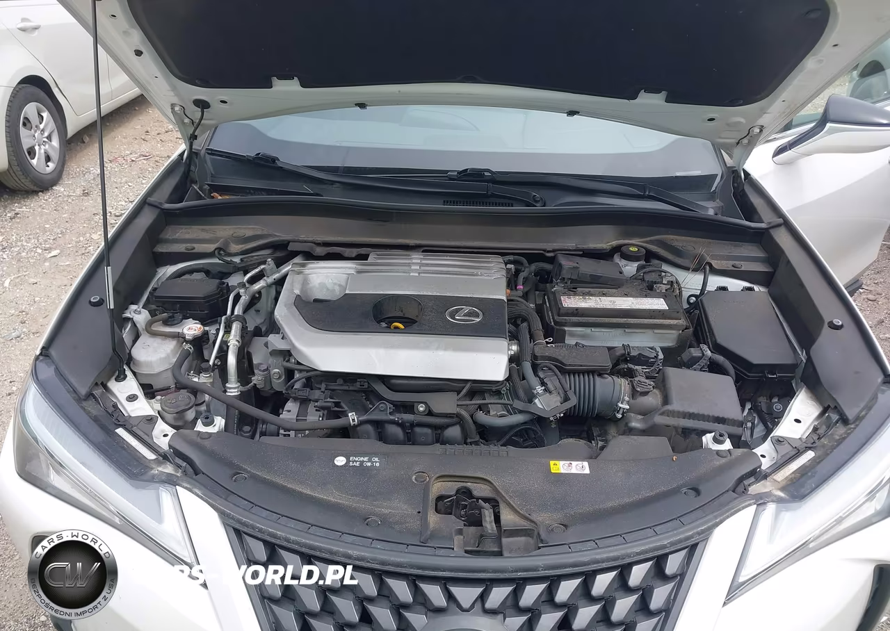 2022 Lexus Ux 200 VIN:JTHP3JBH3N2049816 - 10