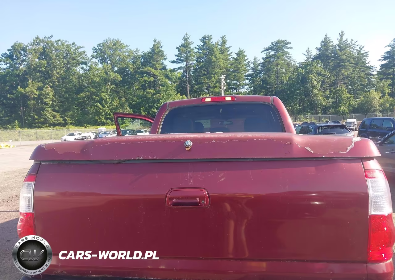 2004 Toyota Tundra Limited V8 VIN:5TBDT48144S435788 - 18