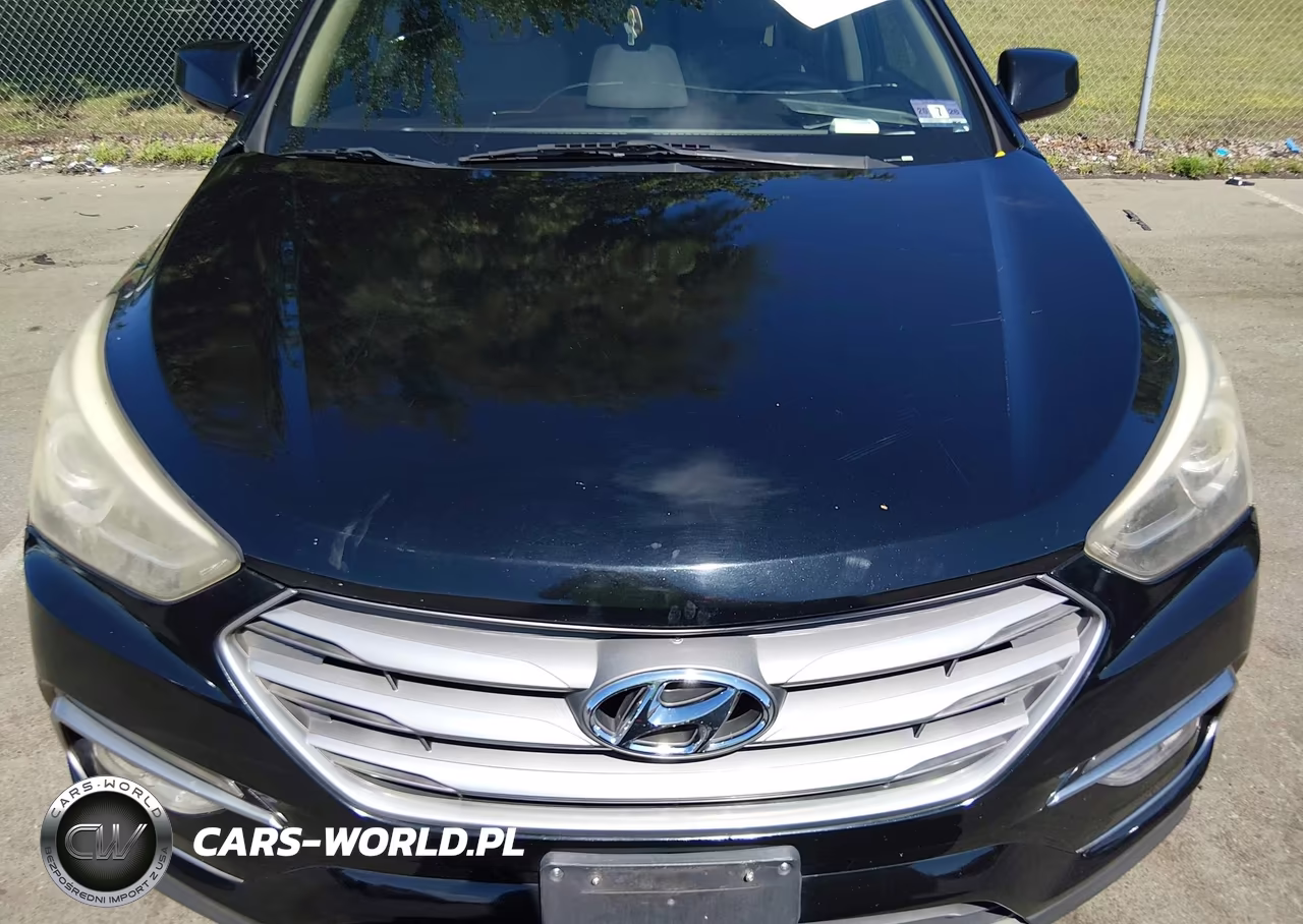 2017 Hyundai Santa Fe Sport 2.4L VIN:5NMZU3LB0HH007424 - 18