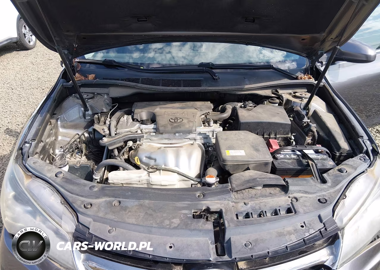 2016 Toyota Camry Se VIN:4T1BF1FK5GU138878 - 10