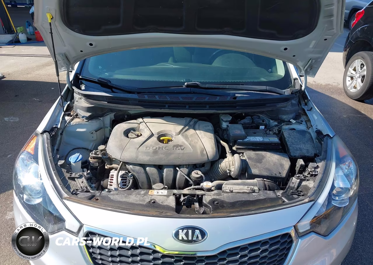 2016 Kia Forte Lx VIN:KNAFK4A62G5487064 - 10