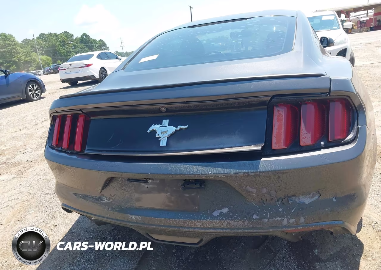 2015 Ford Mustang Ecoboost VIN:1FA6P8TH0F5385714 - 15