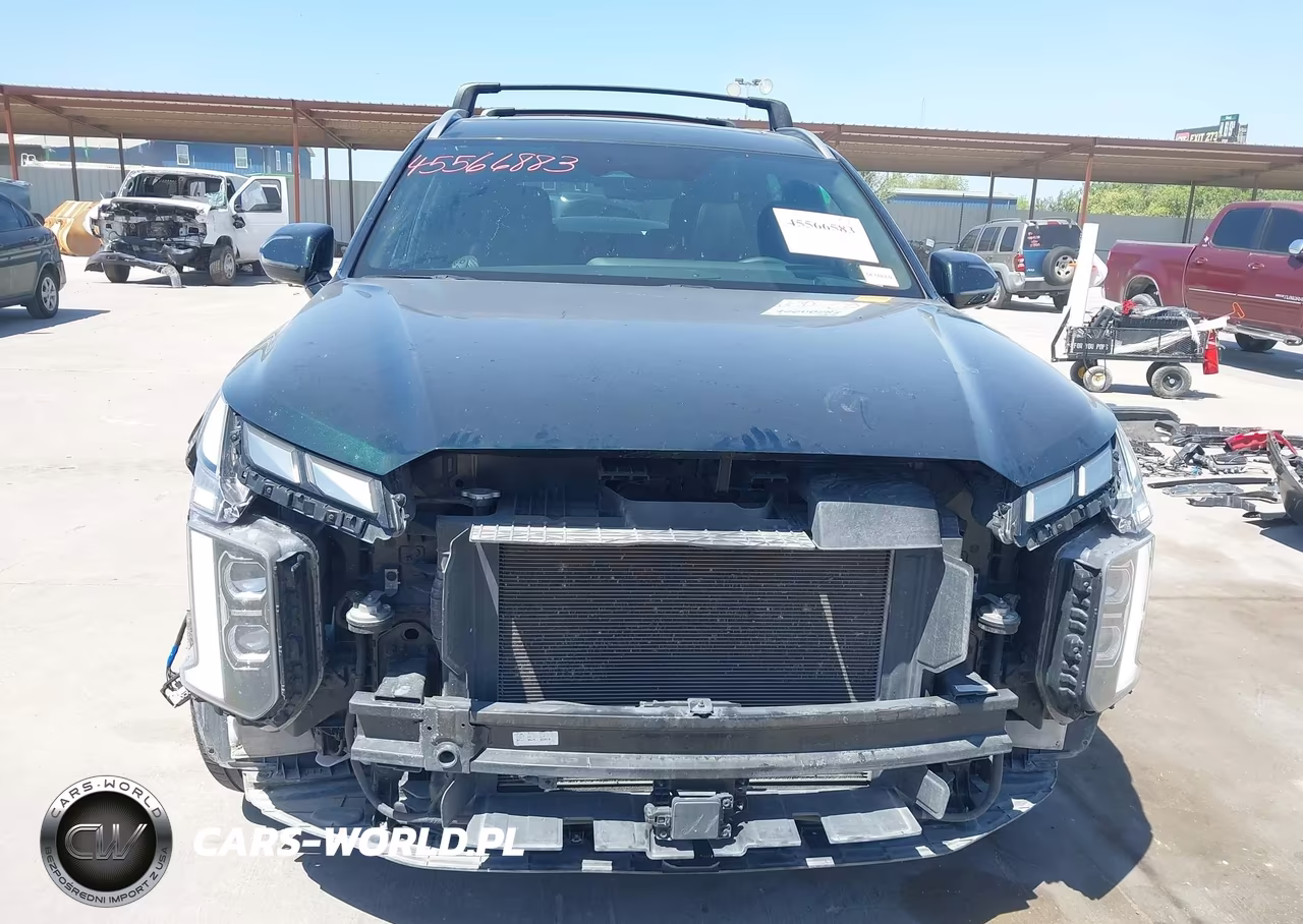 2023 Hyundai Palisade Calligraphy VIN:KM8R7DGE9PU596364 - 13