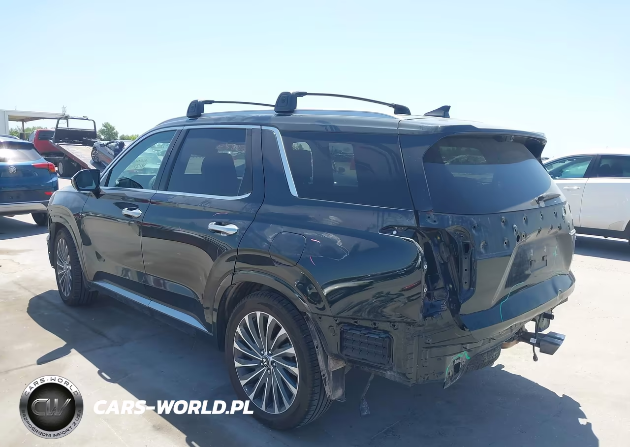 2023 Hyundai Palisade Calligraphy VIN:KM8R7DGE9PU596364 - 3