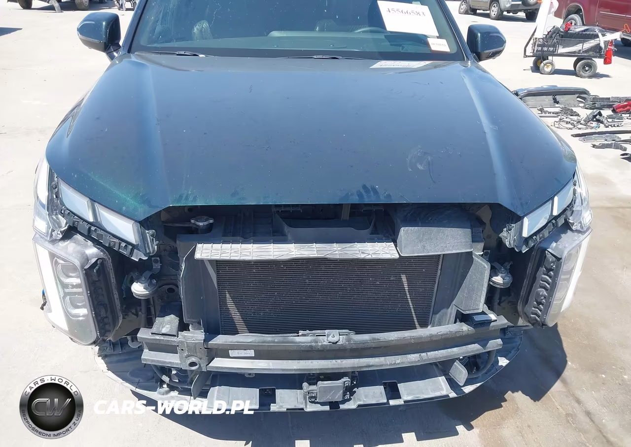2023 Hyundai Palisade Calligraphy VIN:KM8R7DGE9PU596364 - 6