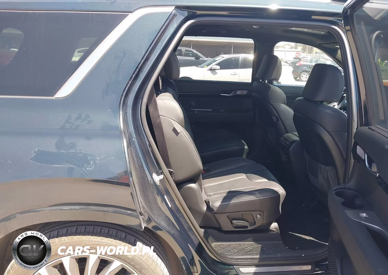 2023 Hyundai Palisade Calligraphy VIN:KM8R7DGE9PU596364 - 8