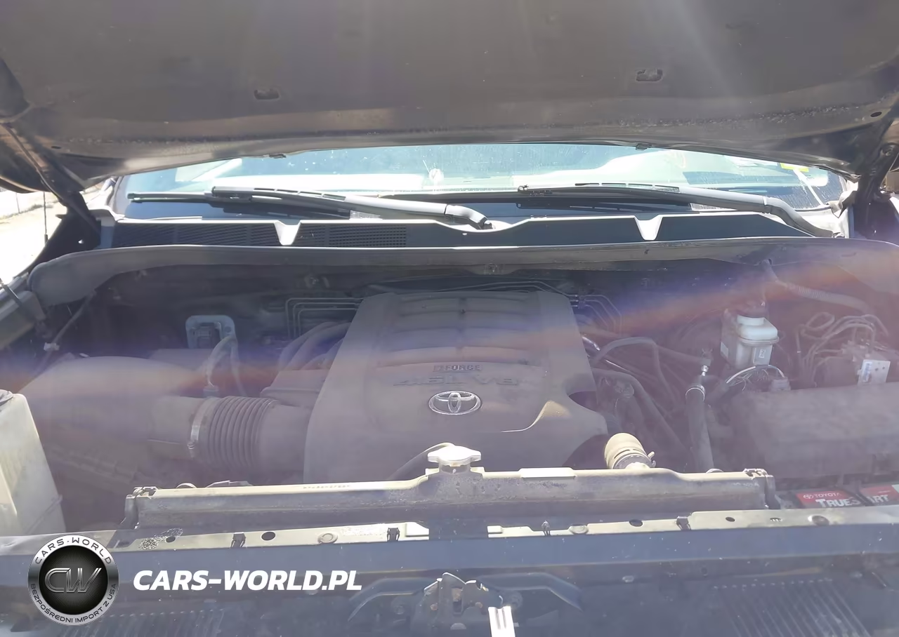 2016 Toyota Tundra Sr5 4.6L V8 VIN:5TFUM5F14GX069231 - 10
