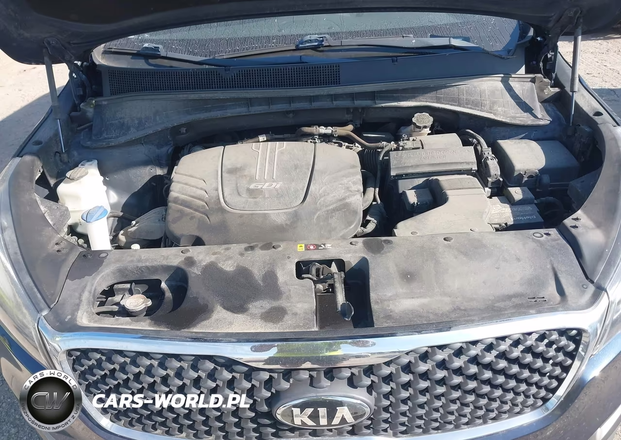 2018 Kia Sorento 3.3L Lx VIN:5XYPG4A55JG372716 - 10