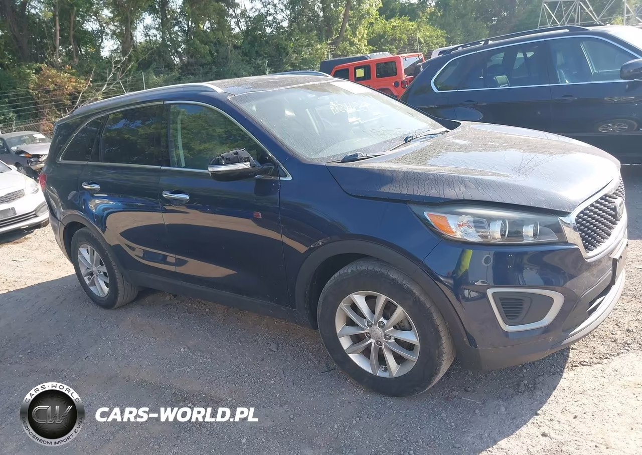2018 Kia Sorento 3.3L Lx VIN:5XYPG4A55JG372716 - 13