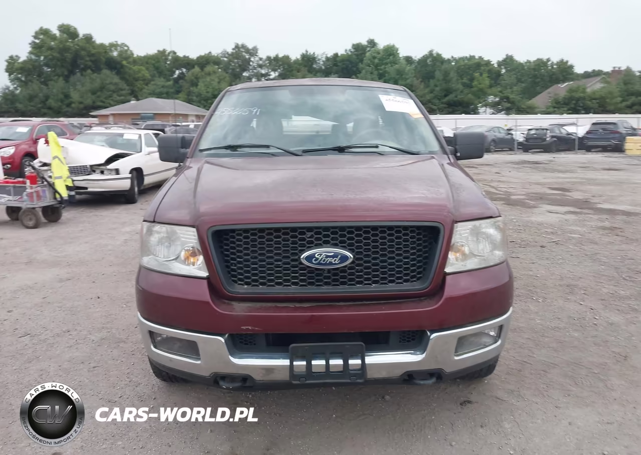 2005 Ford F-150 Fx4-Lariat-Xl-Xlt VIN:1FTPX14525NA88856 - 13