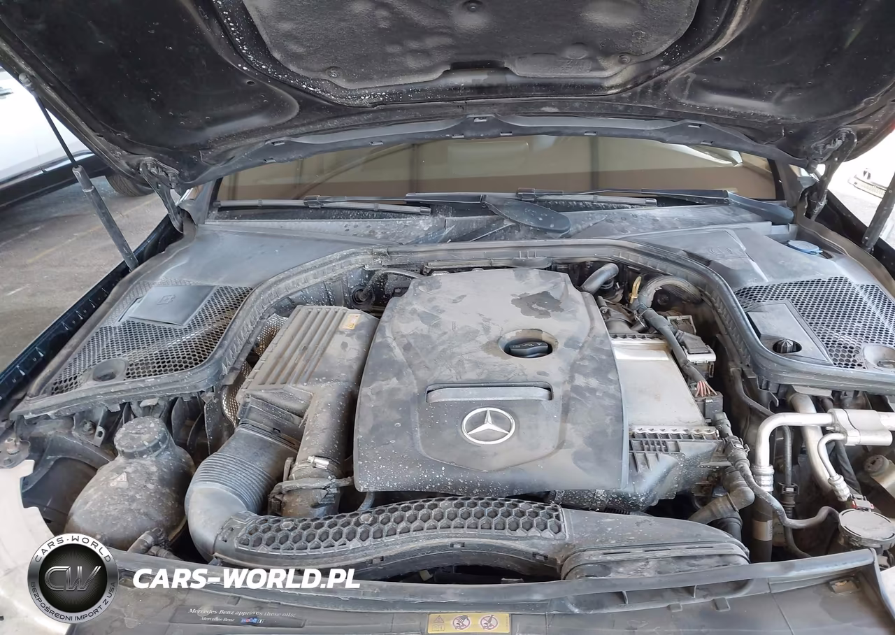 2018 Mercedes-Benz C 300 VIN:55SWF4JB4JU256157 - 10