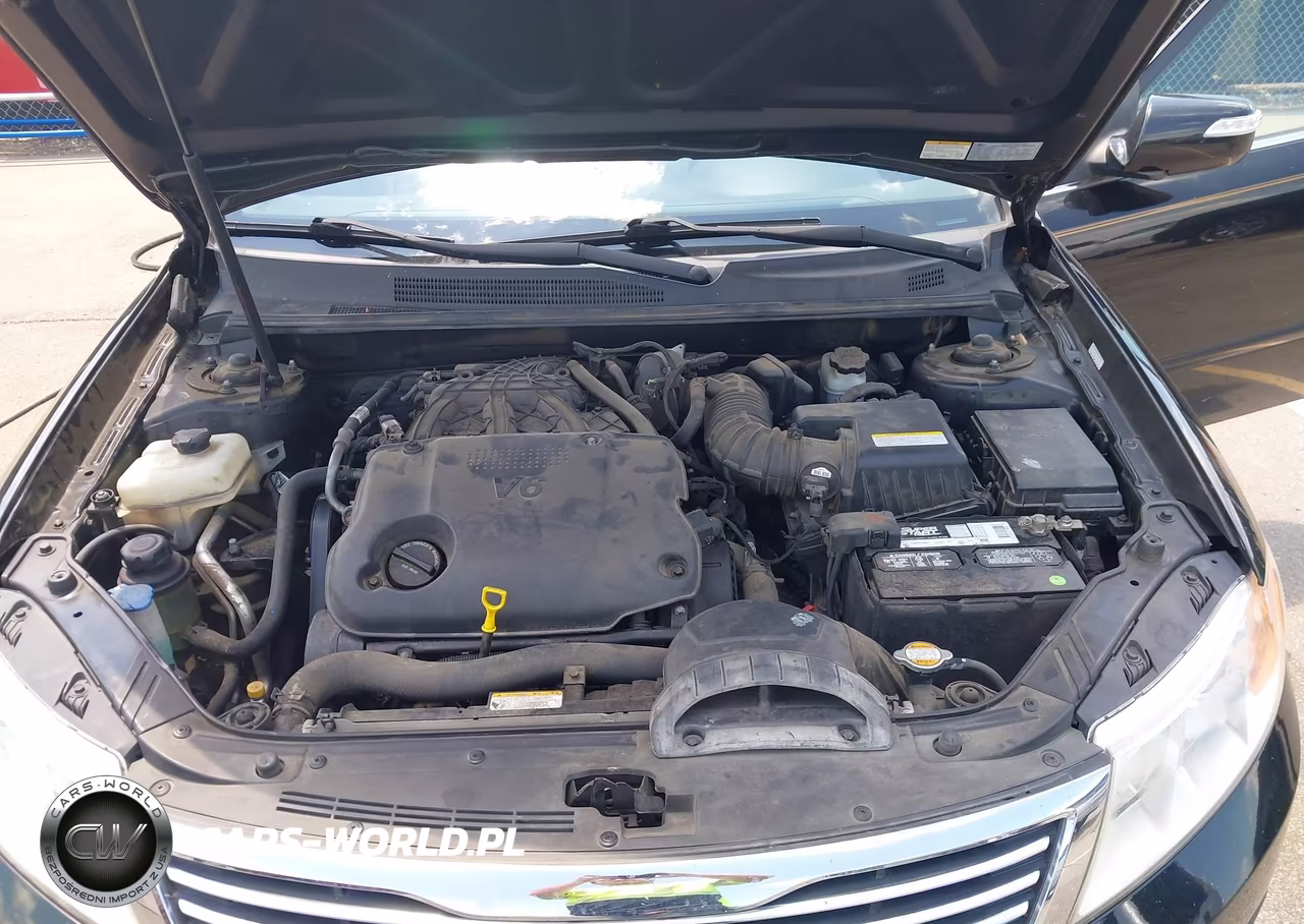 2010 Kia Optima Ex VIN:KNAGH4A41A5435479 - 10