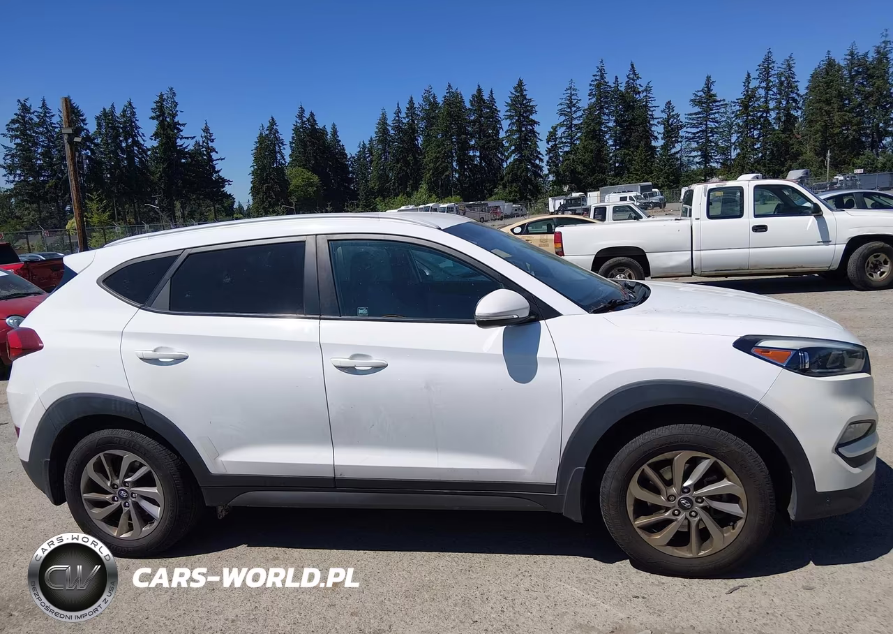 2016 Hyundai Tucson Eco VIN:KM8J3CA21GU169715 - 13