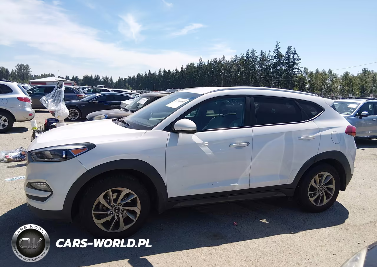 2016 Hyundai Tucson Eco VIN:KM8J3CA21GU169715 - 14