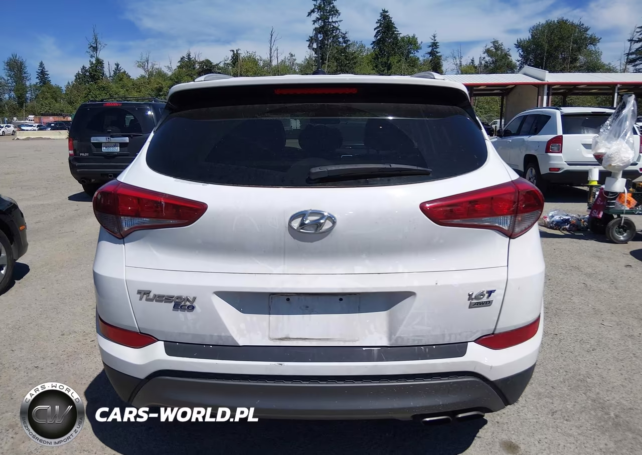 2016 Hyundai Tucson Eco VIN:KM8J3CA21GU169715 - 16