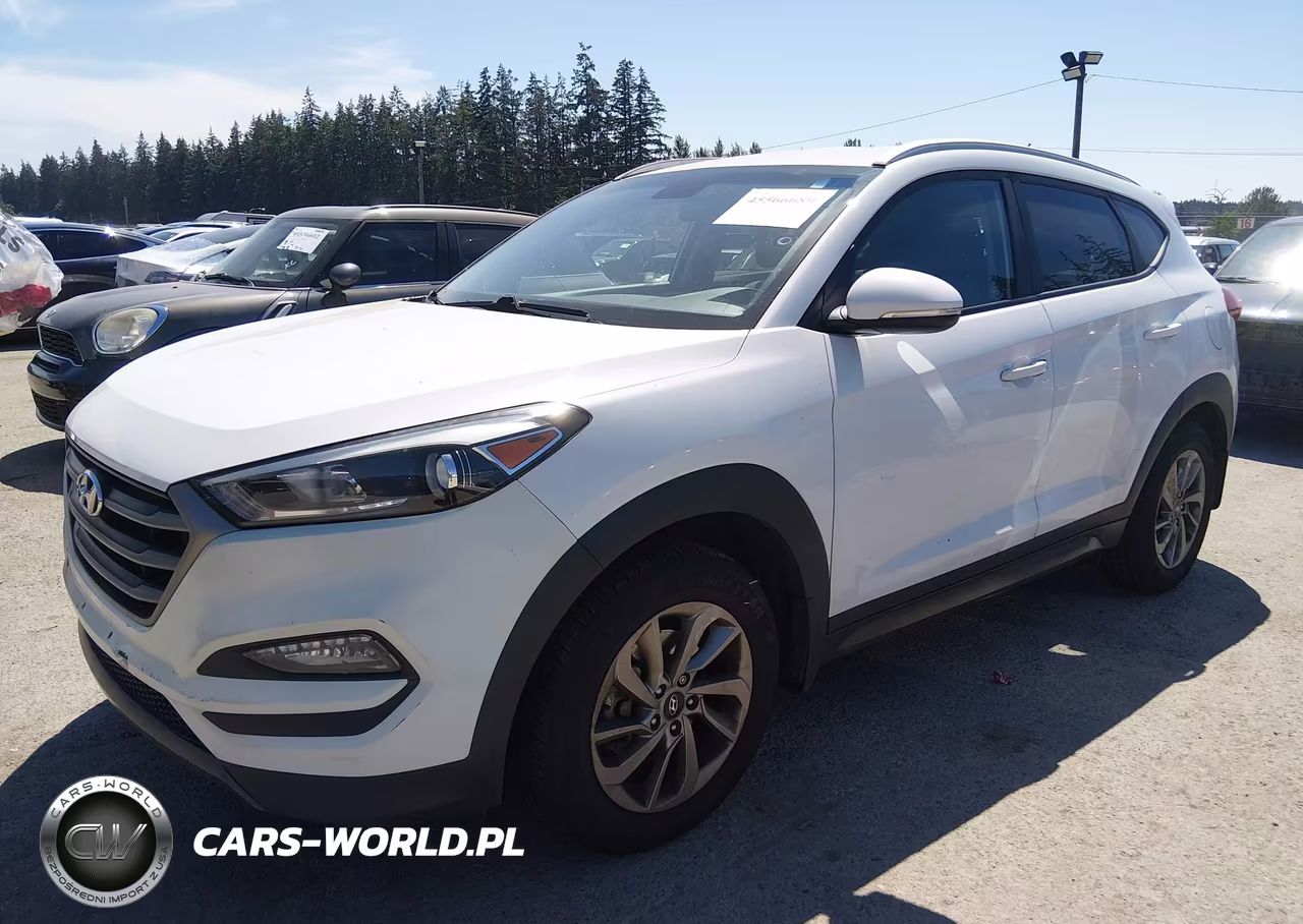 2016 Hyundai Tucson Eco VIN:KM8J3CA21GU169715 - 2