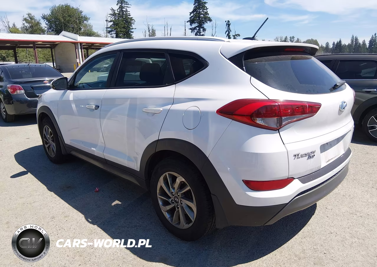 2016 Hyundai Tucson Eco VIN:KM8J3CA21GU169715 - 3