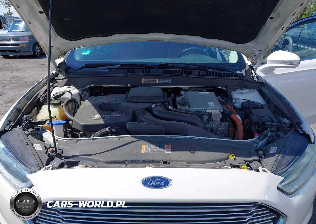 2014 Ford Fusion Hybrid Titanium VIN:3FA6P0RUXER274525 - 10