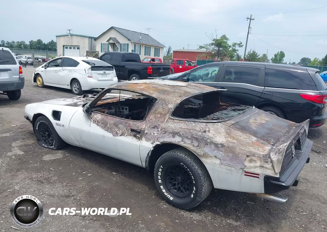 1975 Pontiac Firebird VIN:2T87M5N581122 - 3