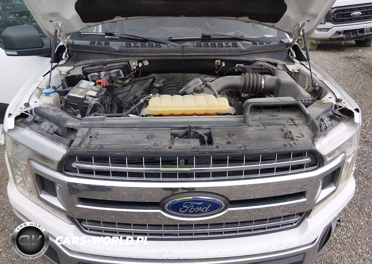 2018 Ford F-150 King Ranch-Lariat-Platinum-Xl-Xlt VIN:1FTEW1E52JKF00990 - 10