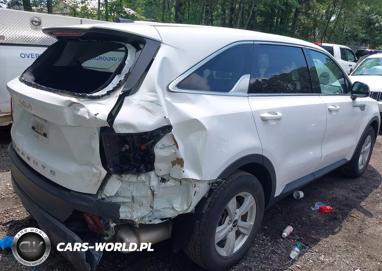 2022 Kia Sorento Lx VIN:5XYRG4LCXNG141157 - 4
