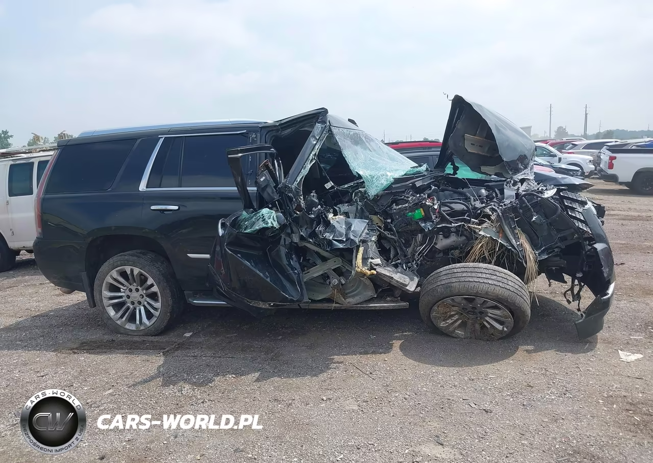 2017 Cadillac Escalade Luxury VIN:1GYS4BKJ3HR192059 - 12