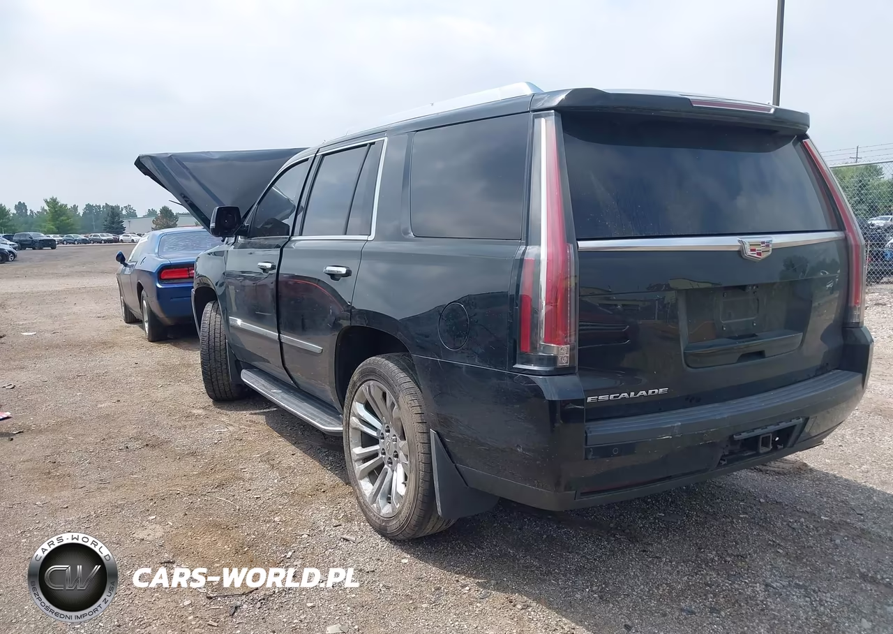 2017 Cadillac Escalade Luxury VIN:1GYS4BKJ3HR192059 - 3