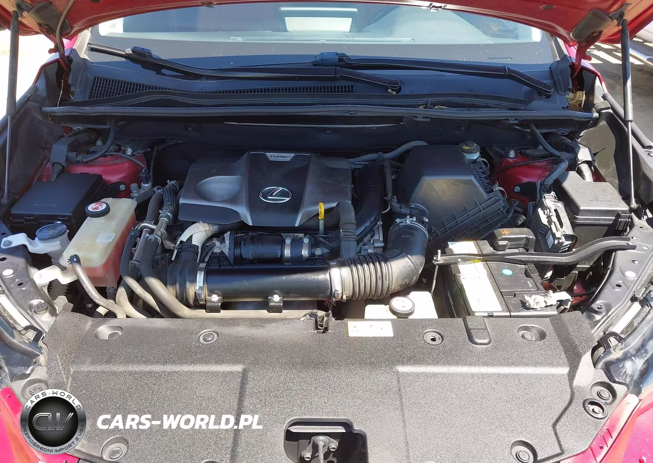 2019 Lexus Nx 300 Base VIN:JTJYARBZ3K2128110 - 10