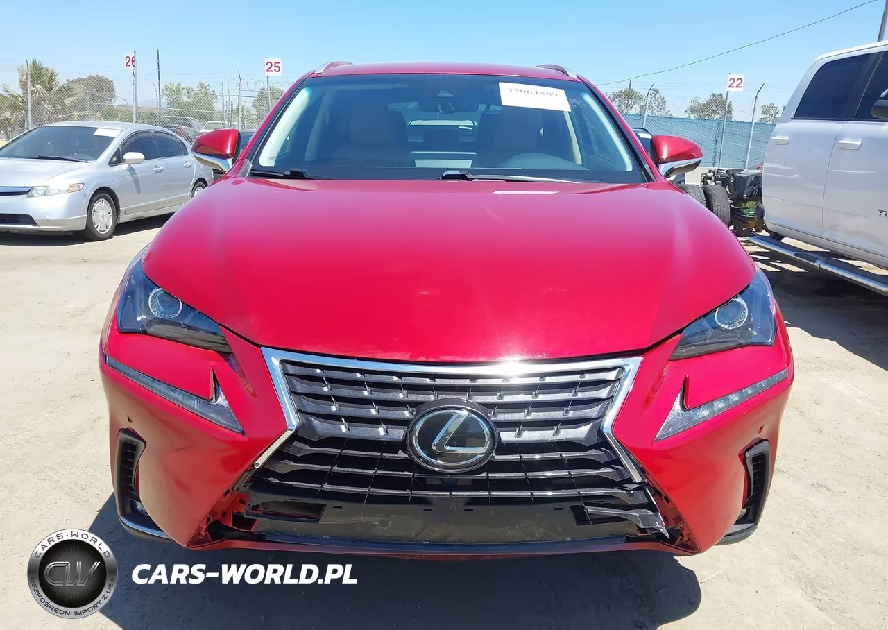 2019 Lexus Nx 300 Base VIN:JTJYARBZ3K2128110 - 12