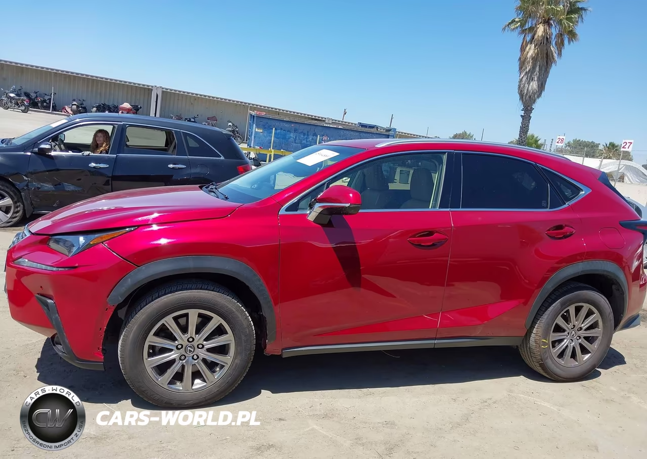 2019 Lexus Nx 300 Base VIN:JTJYARBZ3K2128110 - 14