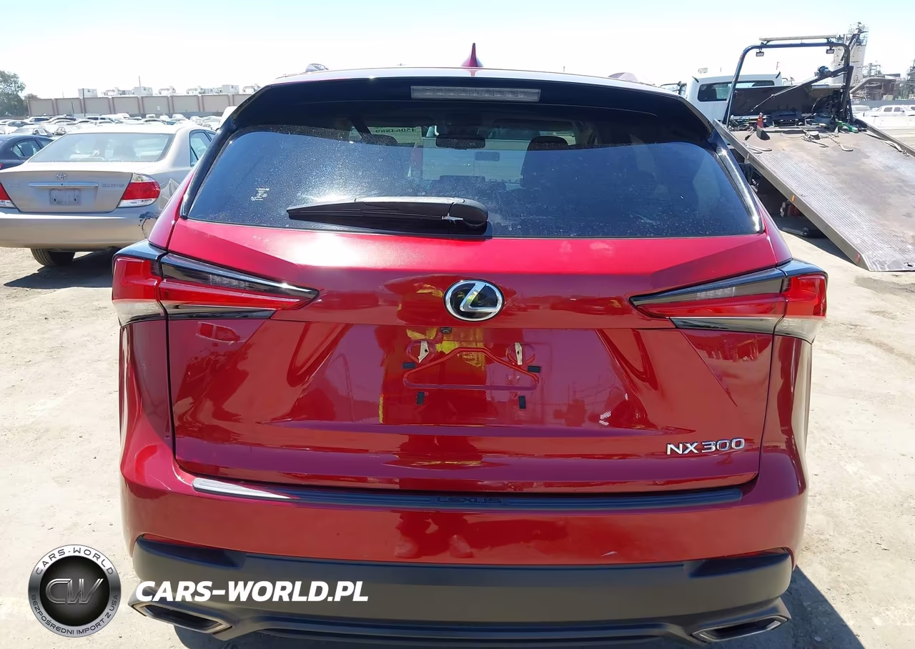 2019 Lexus Nx 300 Base VIN:JTJYARBZ3K2128110 - 16