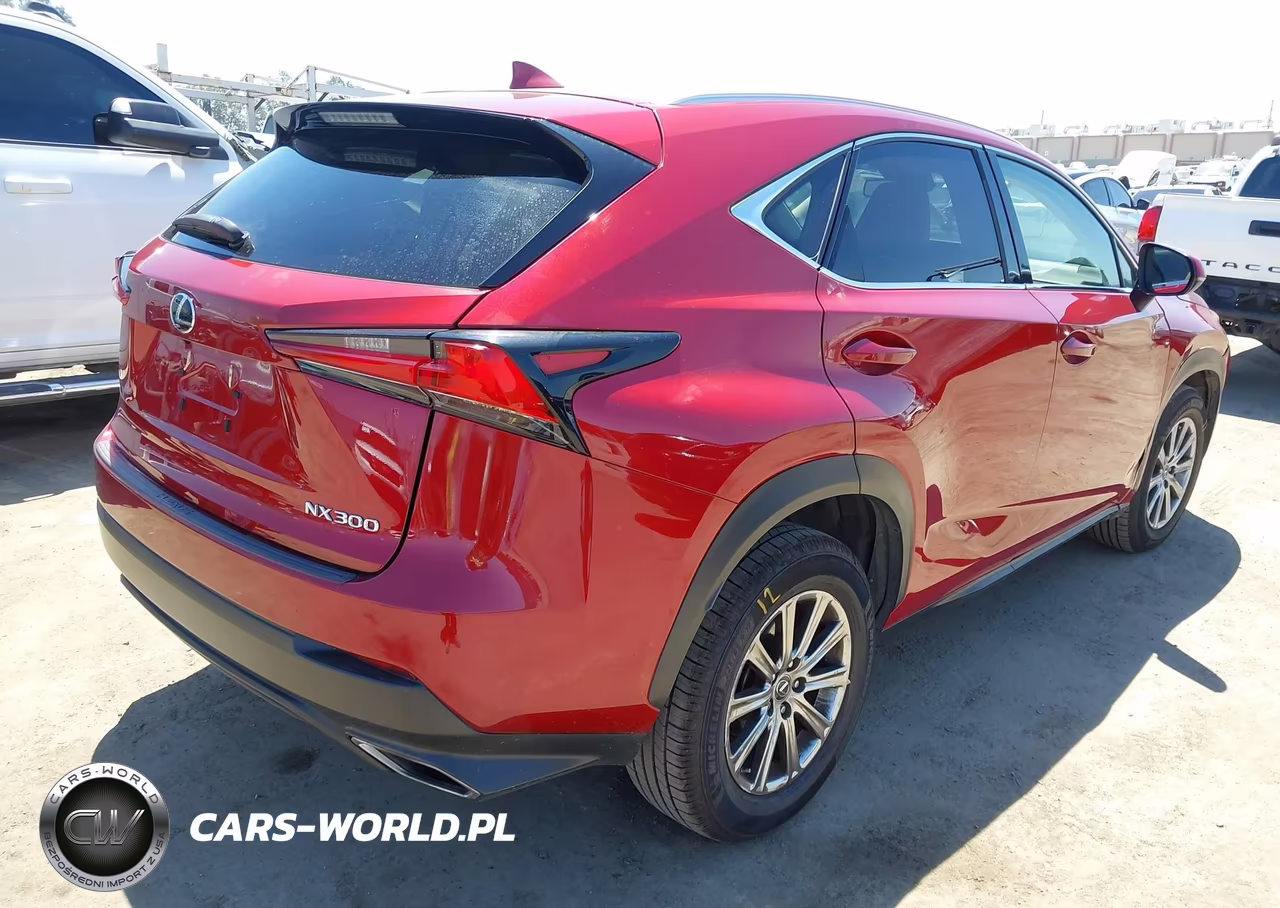 2019 Lexus Nx 300 Base VIN:JTJYARBZ3K2128110 - 4
