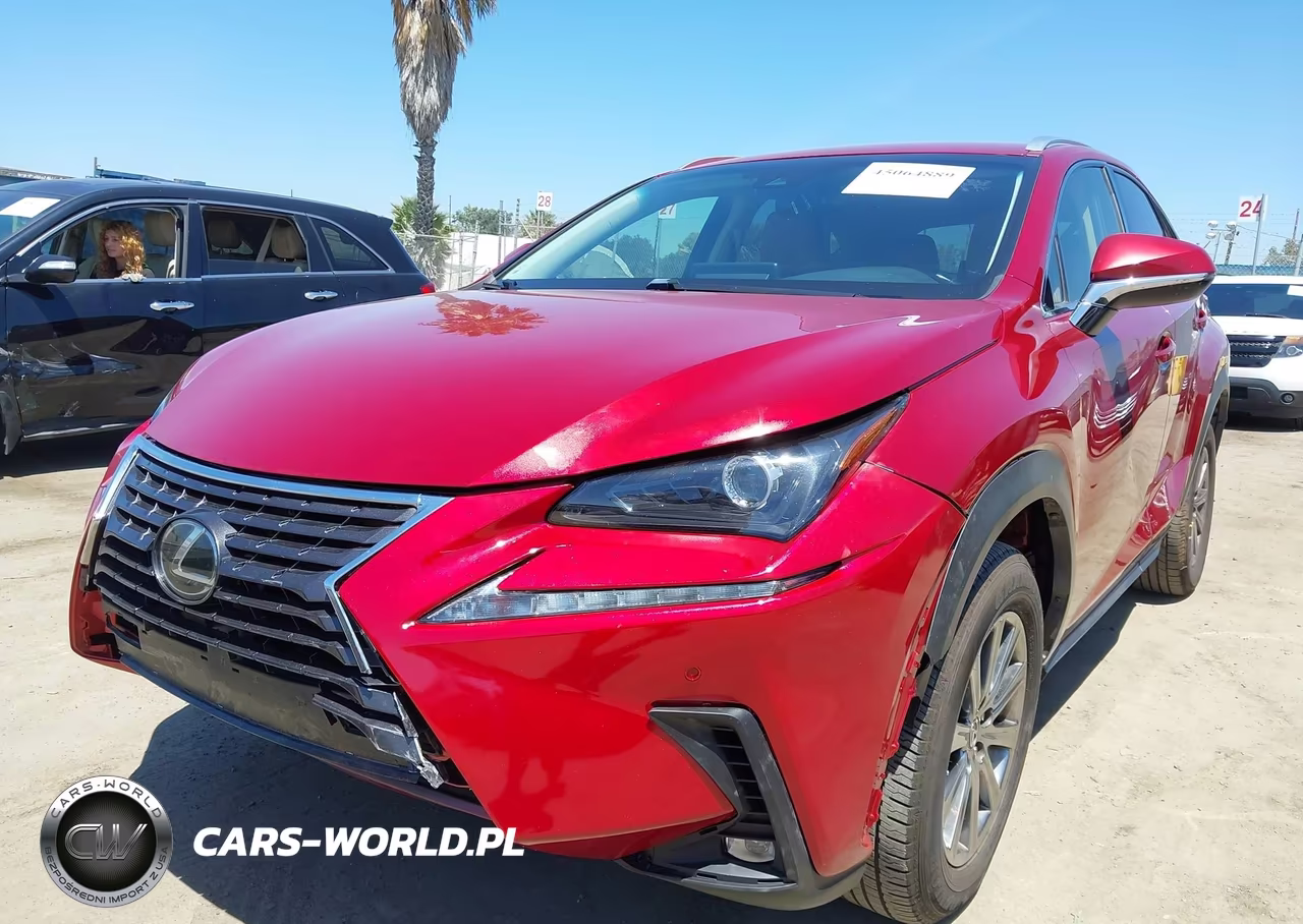 2019 Lexus Nx 300 Base VIN:JTJYARBZ3K2128110 - 6