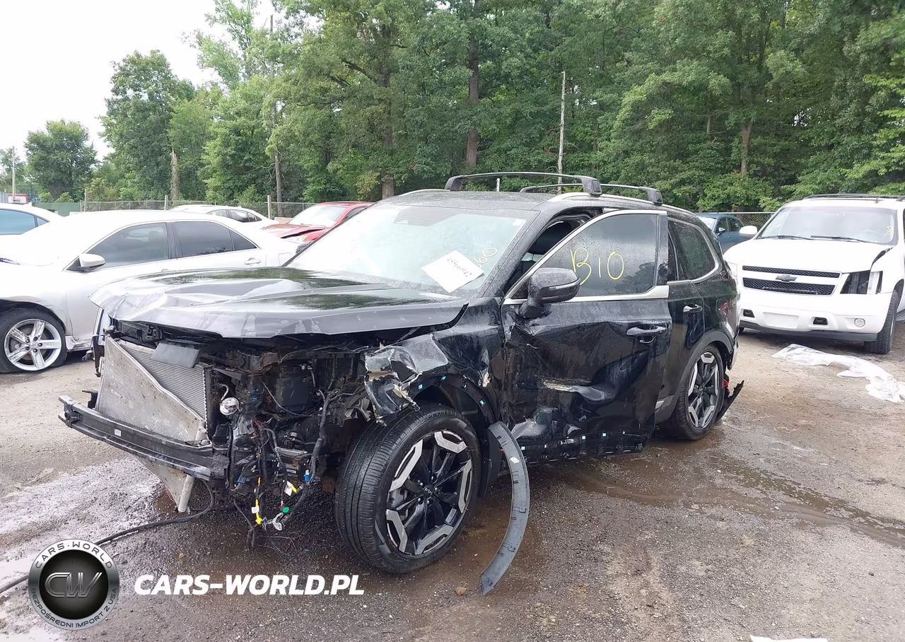 2024 Kia Telluride Ex VIN:5XYP3DGC0RG524558 - 2