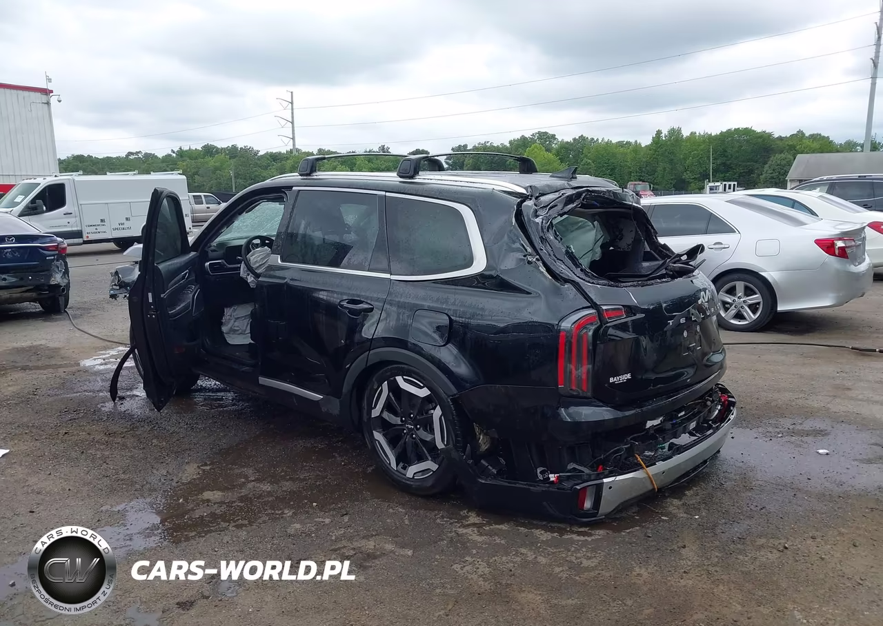 2024 Kia Telluride Ex VIN:5XYP3DGC0RG524558 - 3