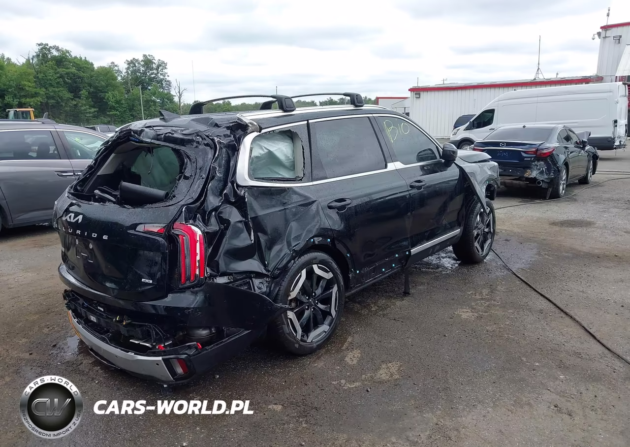2024 Kia Telluride Ex VIN:5XYP3DGC0RG524558 - 4