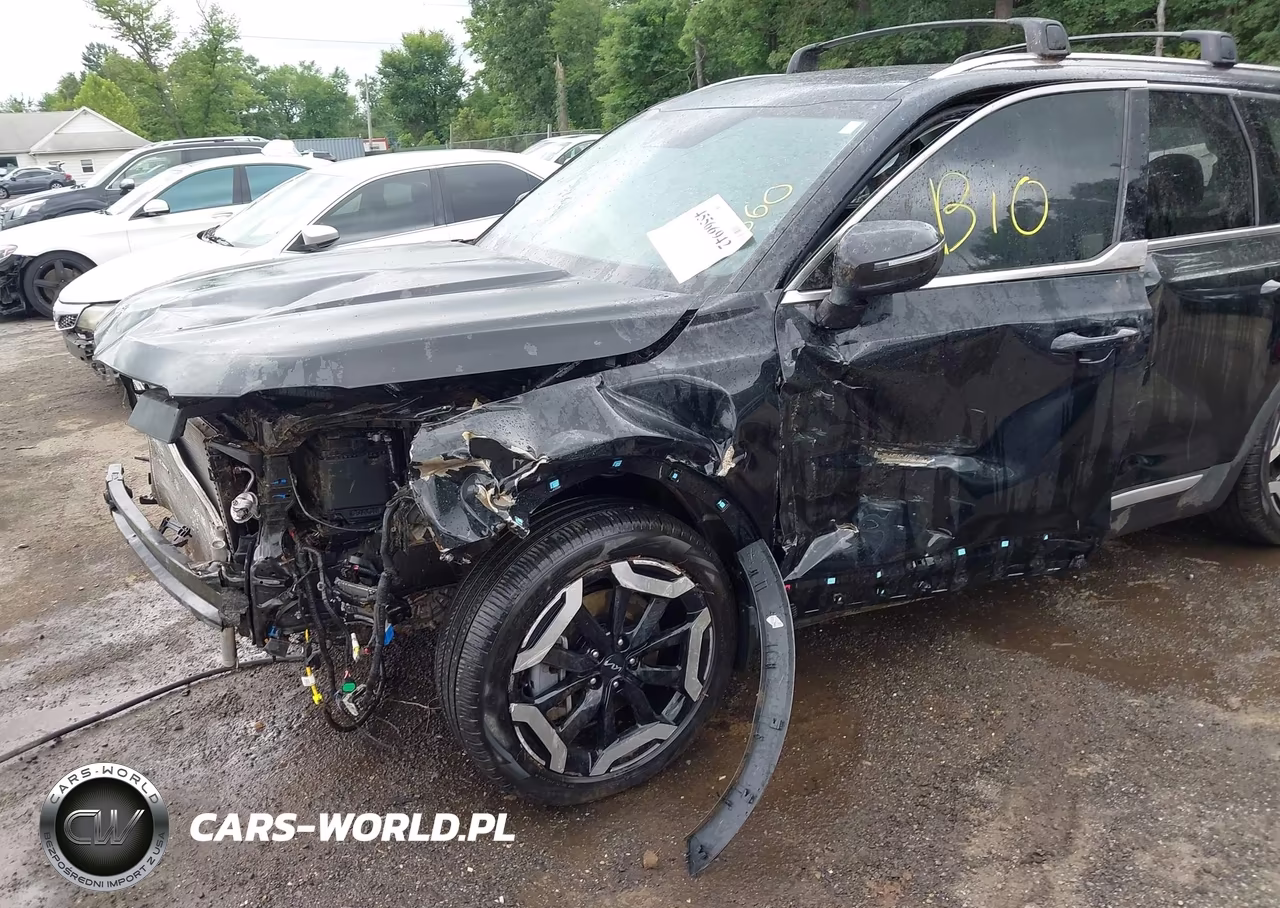 2024 Kia Telluride Ex VIN:5XYP3DGC0RG524558 - 6