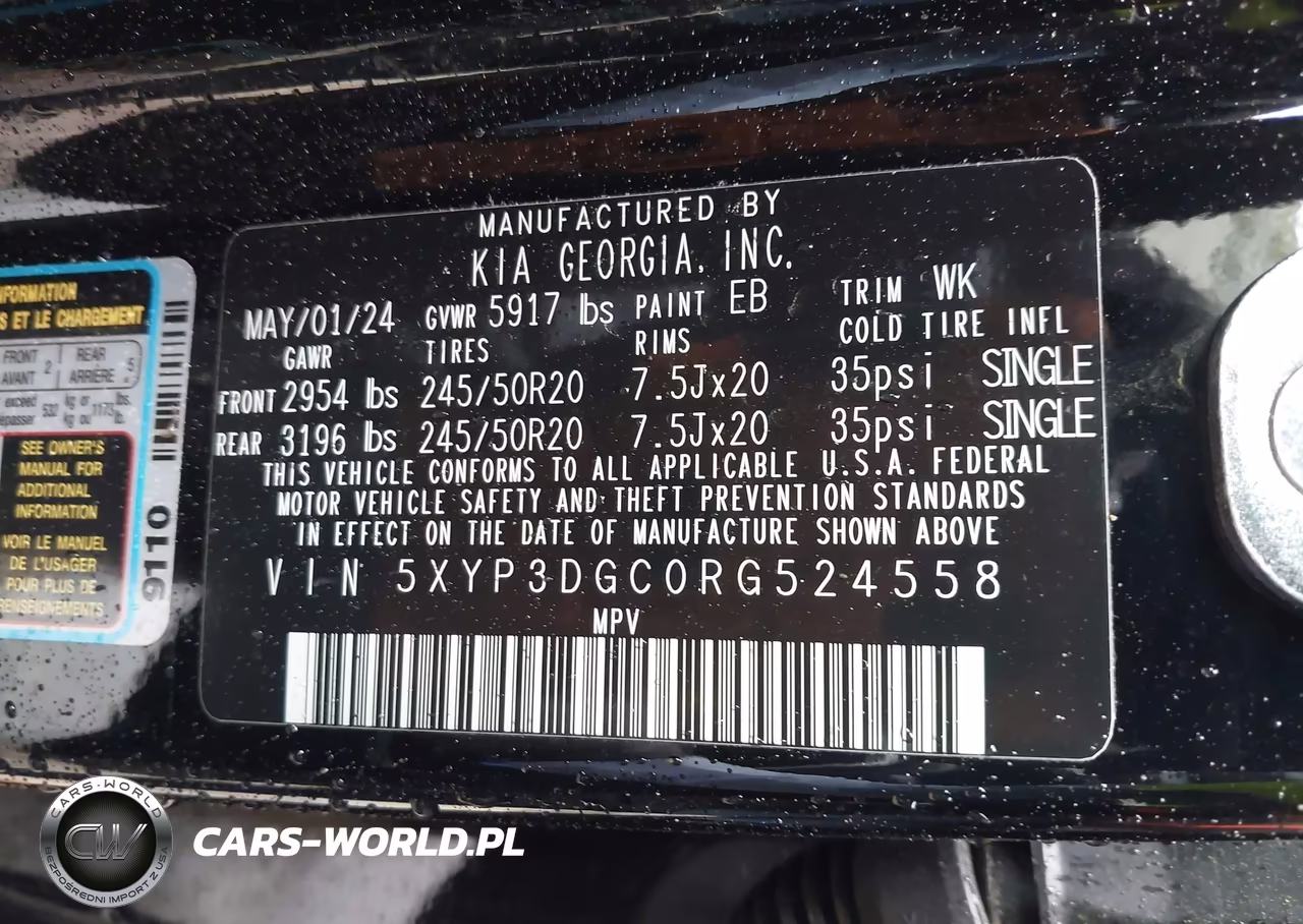 2024 Kia Telluride Ex VIN:5XYP3DGC0RG524558 - 9