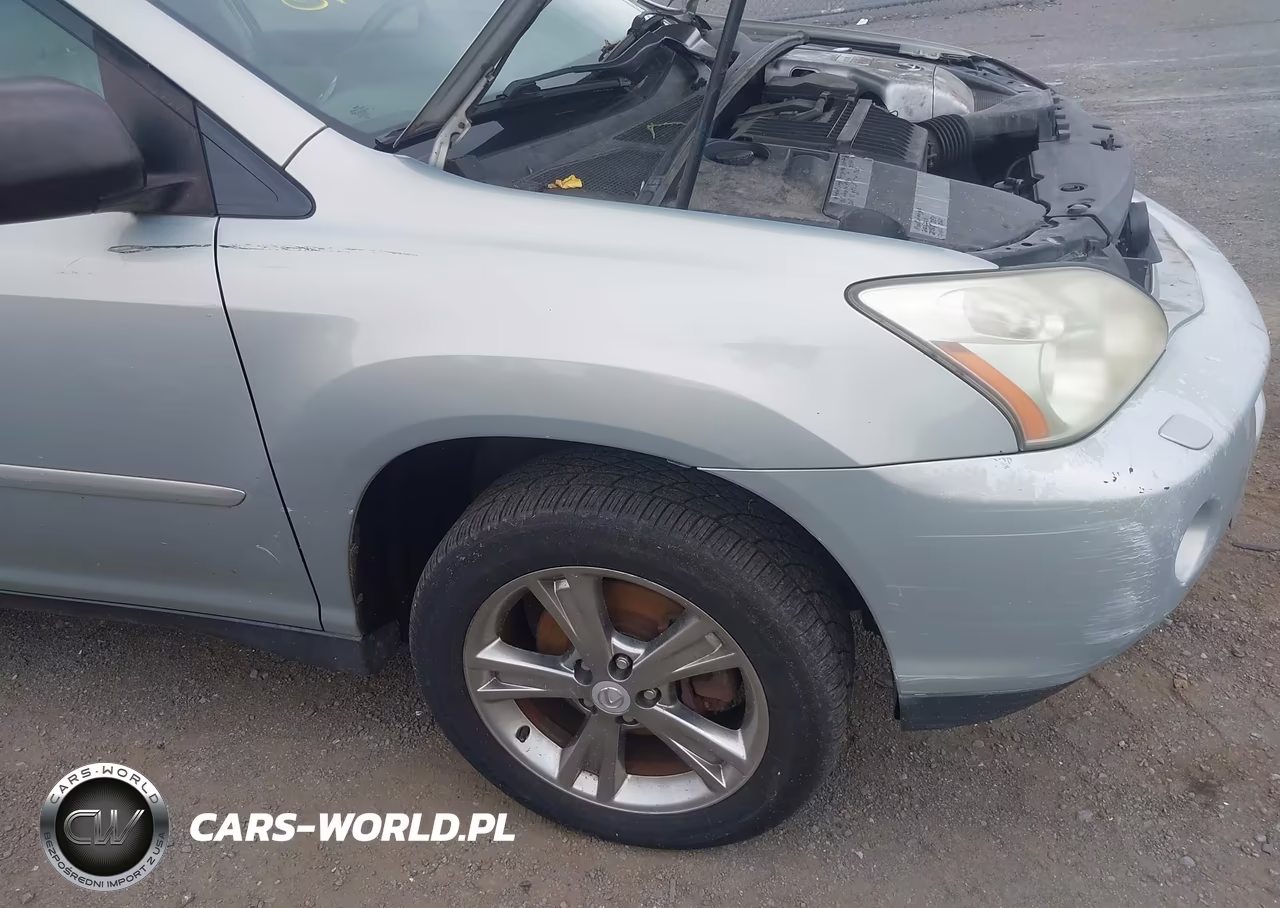 2006 Lexus Rx 400H VIN:JTJHW31U360013710 - 13