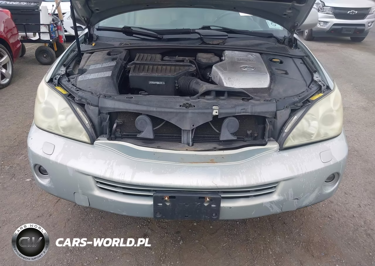 2006 Lexus Rx 400H VIN:JTJHW31U360013710 - 14