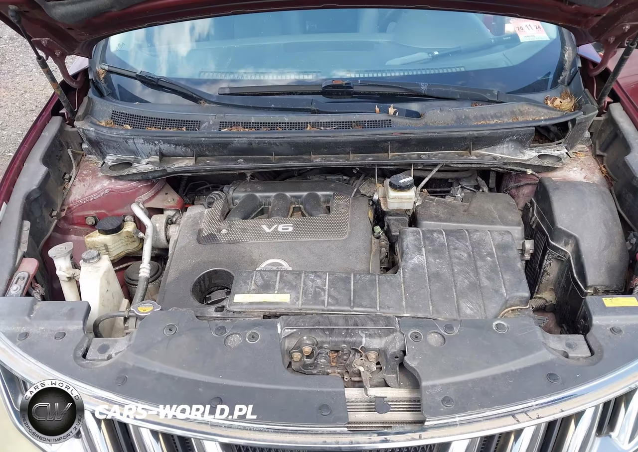 2009 Nissan Murano Sl VIN:JN8AZ18W59W116673 - 10